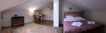 Фото номера бюджетный двухместный мансардный номер Гостиница Shinel Hotel г. Нижний Новгород 4